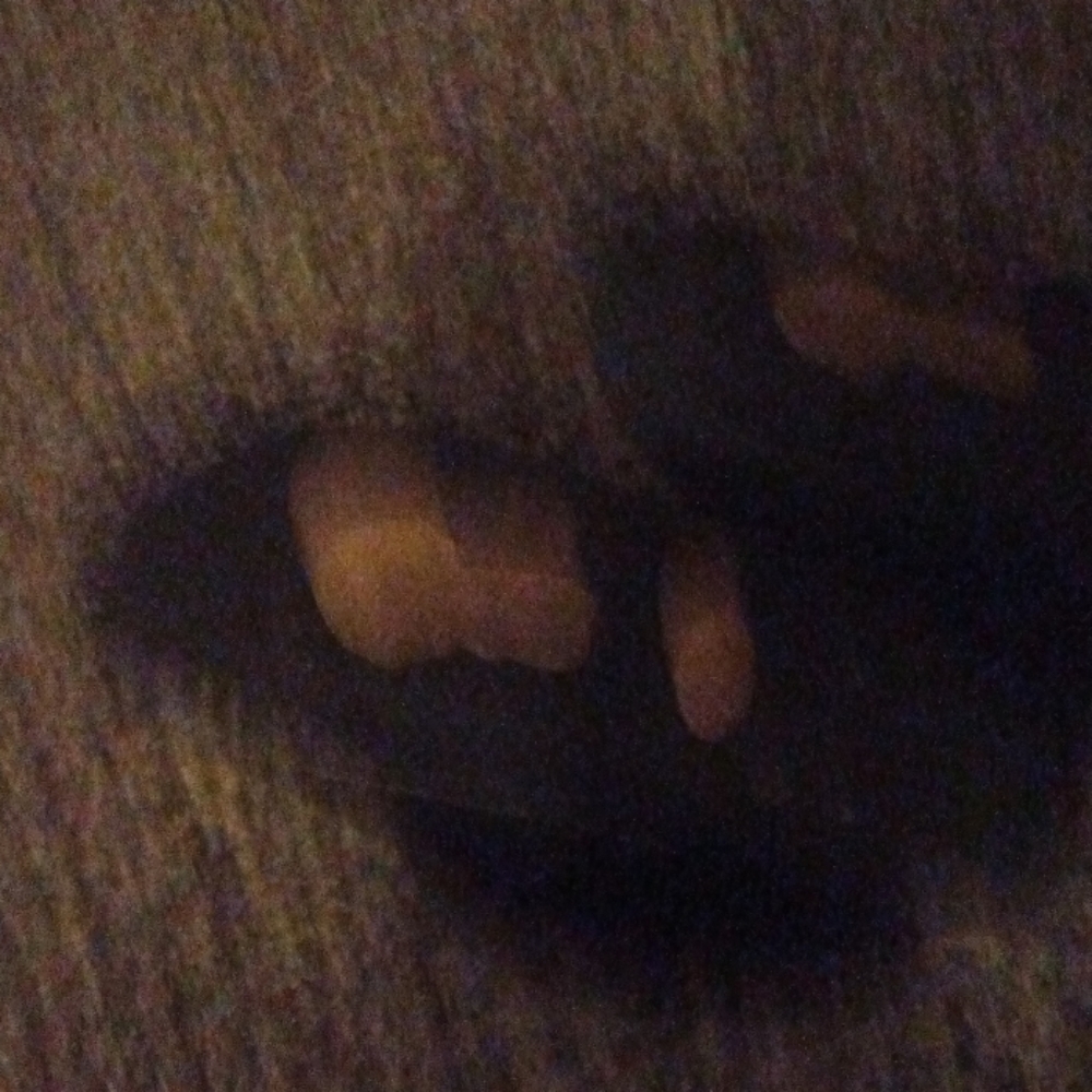Slippers - Picture 4 of 4